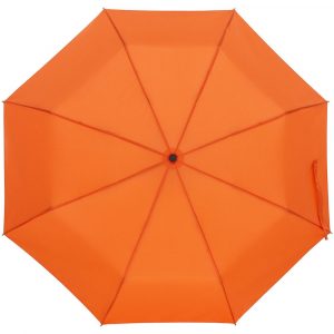 Зонт складной Monsoon