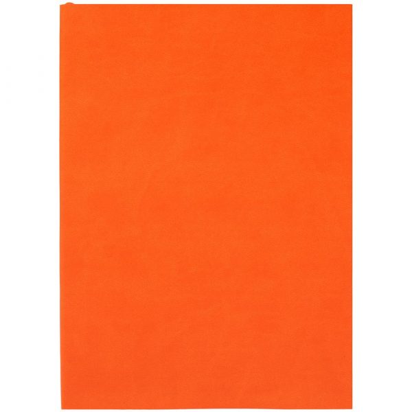 Ежедневник Flat Light