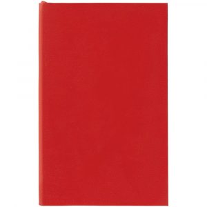 Ежедневник Flat Mini
