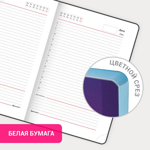 Ежедневник недатированный с резинкой А5 (145х203 мм), BRAUBERG, твердый, фольга, 128 л., "Avocado", 114563 — изображение 15