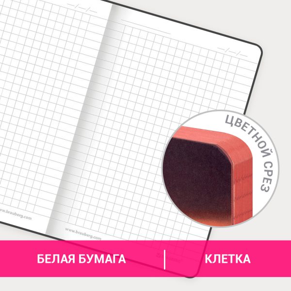 Блокнот МАЛЫЙ ФОРМАТ (100х150 мм) А6, BRAUBERG VISTA "Flamingo", под кожу, гибкий, тиснение фольга, 80 л., 112099 — изображение 10
