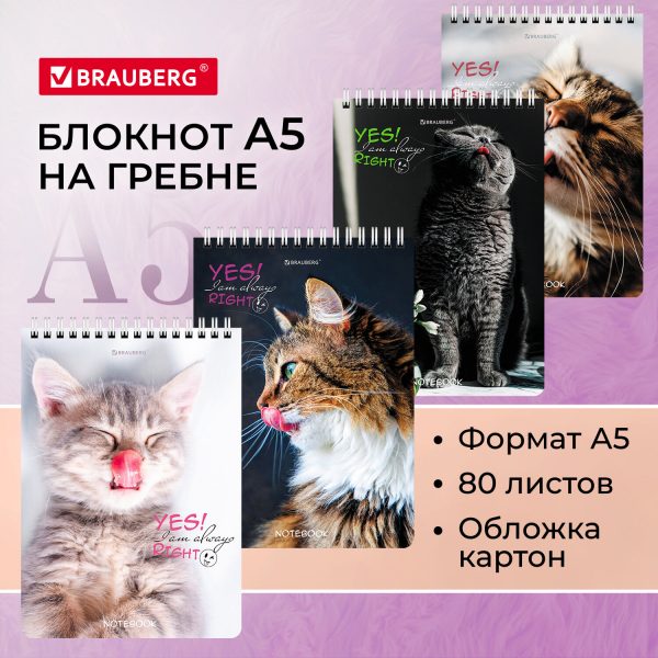 Блокнот А5 (146х206 мм), 80 л., гребень, картон, клетка, BRAUBERG, "Довольные коты", 114374 — изображение 8
