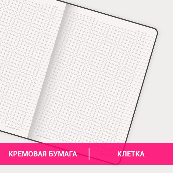 Блокнот А5 (162х218 мм), BRAUBERG "NOTE", под кожу софт-тач, с резинкой, 80 л., клетка, серый, 113440 — изображение 10