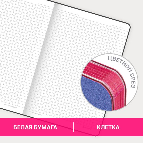 Блокнот А5 (143x210 мм), BRAUBERG VISTA "Ultraviolet", под кожу, гибкий, 80 л., 112061 — изображение 11
