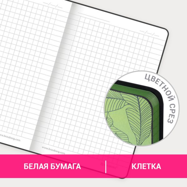Блокнот МАЛЫЙ ФОРМАТ (100х150 мм) А6, BRAUBERG VISTA "Monstera", под кожу, гибкий, тиснение фольга, 80 л., 112093 — изображение 10