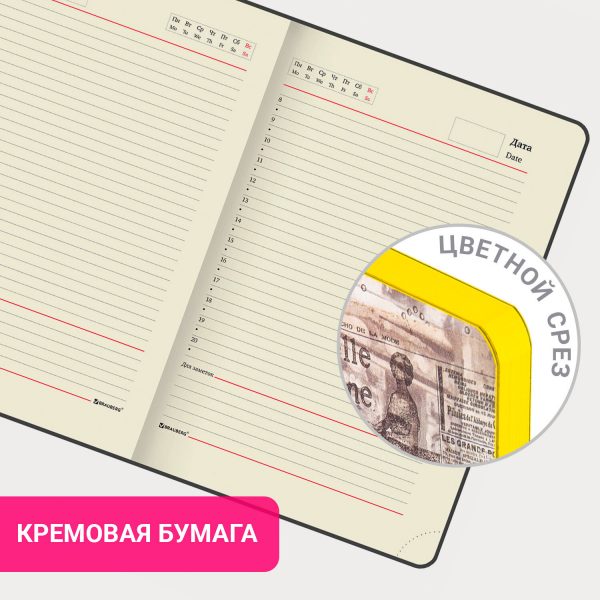 Еженедельник недатированный с резинкой 171х93 мм, BRAUBERG, твердый, 64 л., "Minimal", зеленый, 116314 — изображение 15