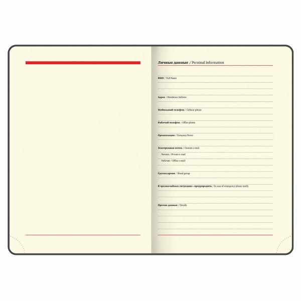 Еженедельник недатированный с резинкой 171х93 мм, BRAUBERG, твердый, 64 л., "Minimal", зеленый, 116314 — изображение 6