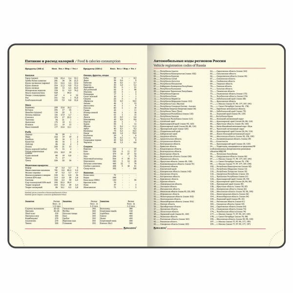 Еженедельник недатированный с резинкой 171х93 мм, BRAUBERG, твердый, 64 л., "Minimal", зеленый, 116314 — изображение 9
