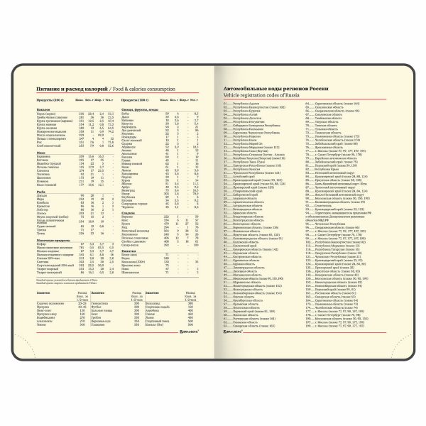 Еженедельник недатированный с резинкой 171х93 мм, BRAUBERG, твердый, 64 л., "Minimal", розовый, 116310 — изображение 8