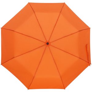 Зонт складной Monsoon