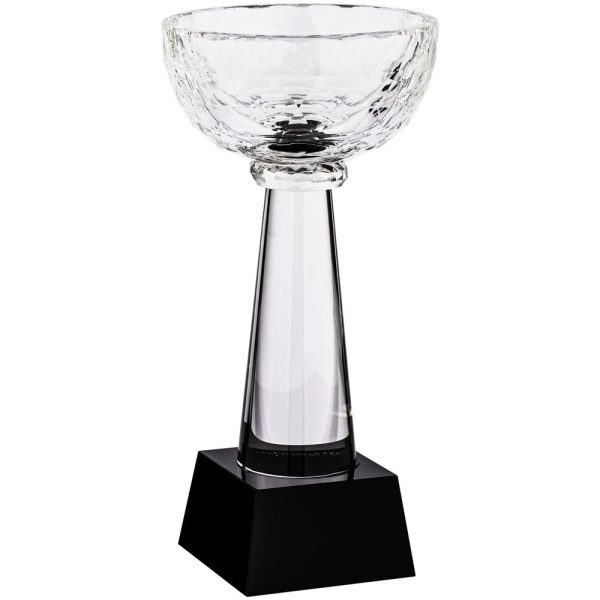 Кубок Cupture — изображение 2
