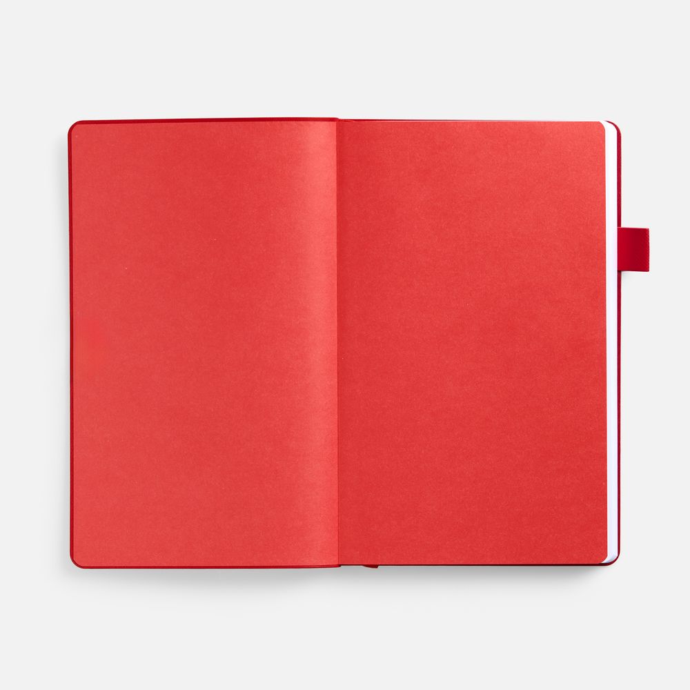 Ежедневник White Shall Ежедневник White Shall — изображение 6