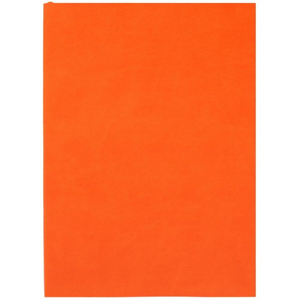 Ежедневник Flat Light