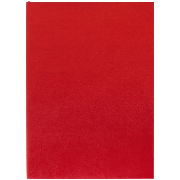 Ежедневник Flat Light