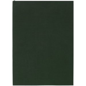 Ежедневник Flat Light