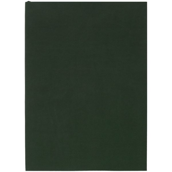 Ежедневник Flat Light