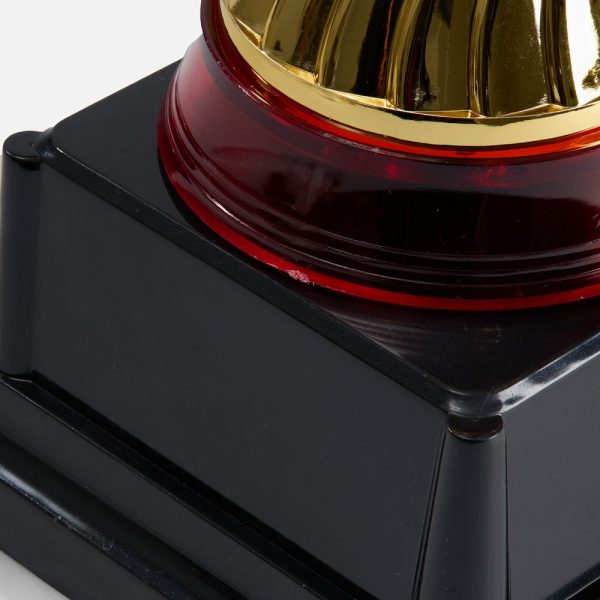 Кубок Awardee — изображение 6