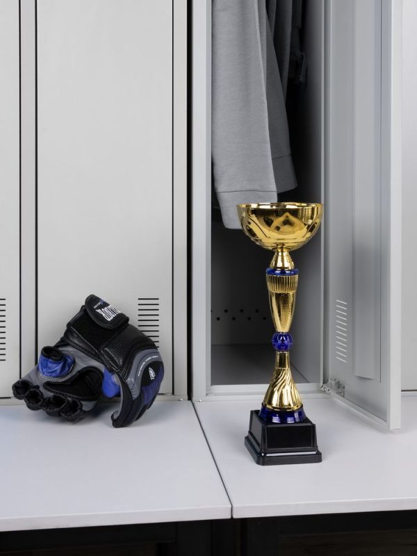 Кубок Awardee — изображение 5
