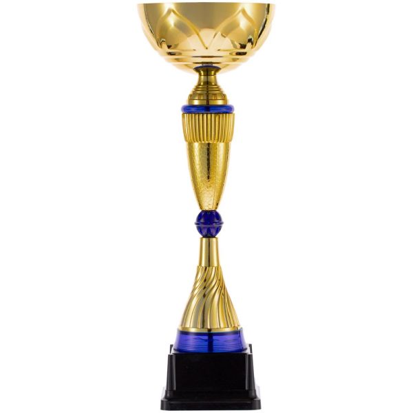 Кубок Awardee — изображение 2