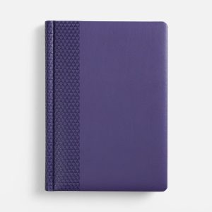 Ежедневник Prizma