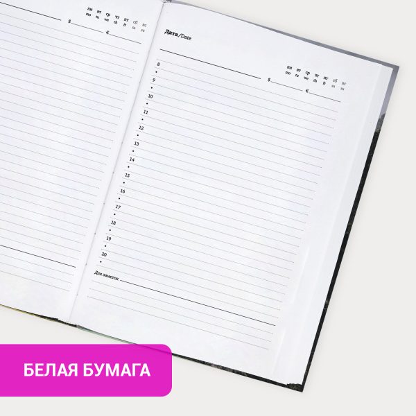 Ежедневник датированный 2026, МАЛЫЙ ФОРМАТ 100х150 мм, А6, BRAUBERG "Iguana", под кожу, черный, 117252 — изображение 14