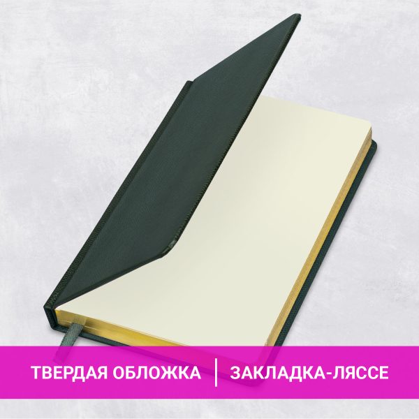 Ежедневник недатированный А5, 138х213 мм, BRAUBERG "Iguana", под кожу, 160 л., тёмно-зеленый, 114457 — изображение 13