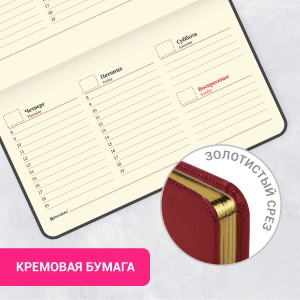 Ежедневник недатированный с резинкой А5 (145х203 мм), BRAUBERG, твердый, фольга, 128 л., "Pomegranate", 114562 — изображение 15
