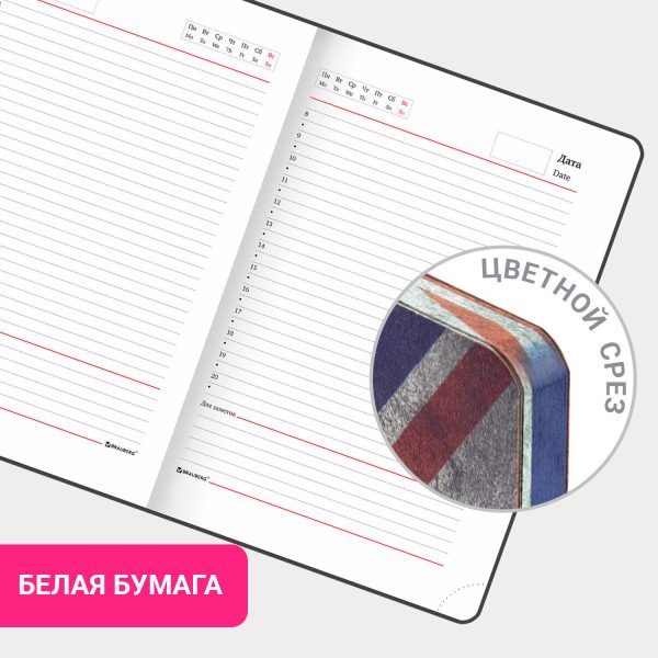 Еженедельник недатированный с резинкой 171х93 мм, BRAUBERG, твердый, 64 л., "Leopard print", 116312 — изображение 15
