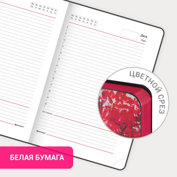 Ежедневник недатированный с резинкой А5 (145х203 мм), BRAUBERG, твердый, фольга, 128 л., "Tropical", 114565 — изображение 15
