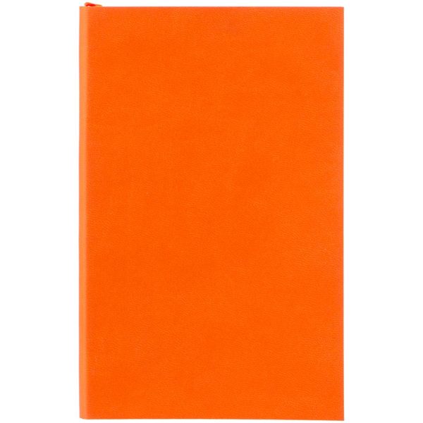 Ежедневник Flat Mini