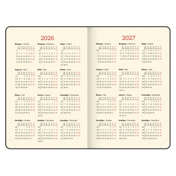 Ежедневник датированный 2026, А5, 151х213 мм, BRAUBERG "Note", под кожу, держатель для ручки, серо-голубой, 117520 — изображение 6