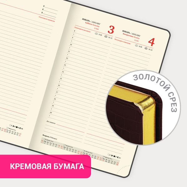 Ежедневник датированный 2026, А5, 138x213 мм, BRAUBERG "Comodo", под кожу, коричневый, 117051 — изображение 16