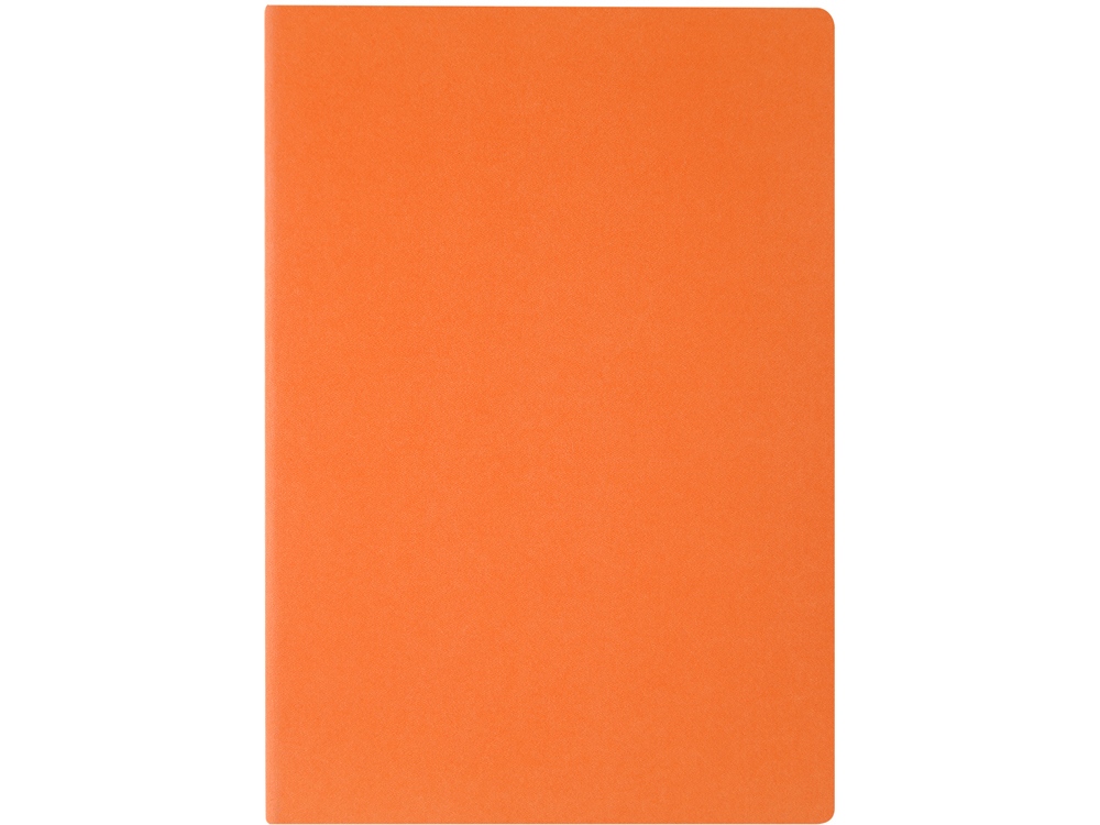 Бизнес тетрадь А5 «Pragmatic» Бизнес тетрадь А5 «Pragmatic» — изображение 2