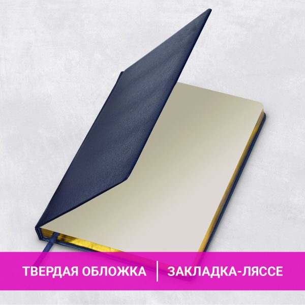 Ежедневник недатированный БОЛЬШОЙ ФОРМАТ 210х297 мм, А4, BRAUBERG Iguana, 160л, синий, 114451 — изображение 13