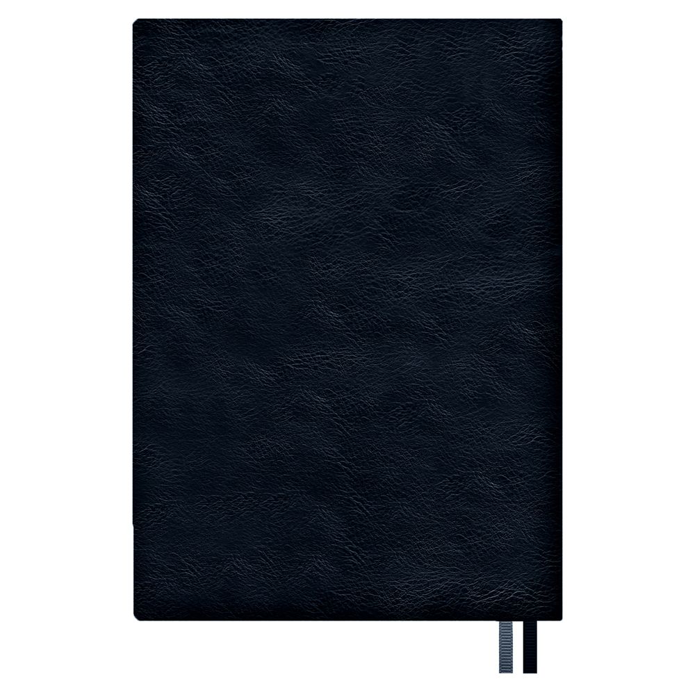 Ежедневник Merida Ежедневник Merida — изображение 2