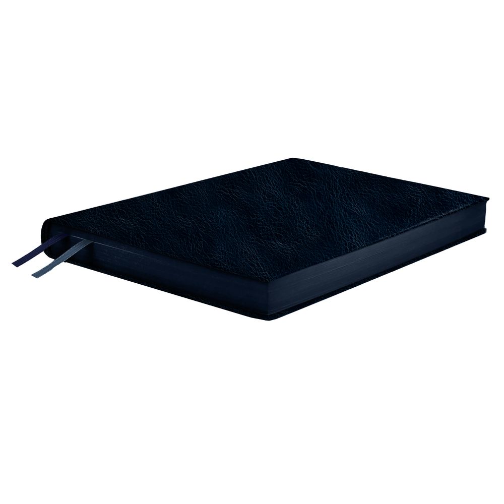 Ежедневник Merida Ежедневник Merida — изображение 3