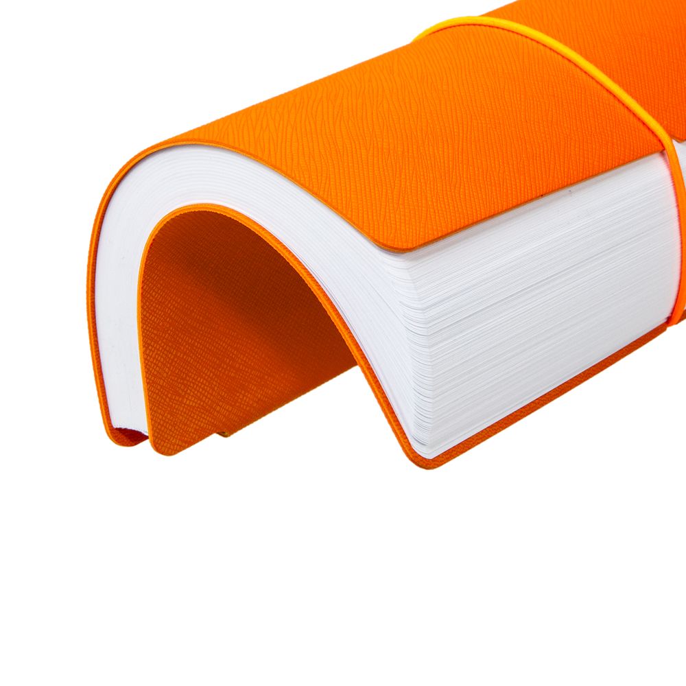 Ежедневник Flexpen Bright Ежедневник Flexpen Bright — изображение 5