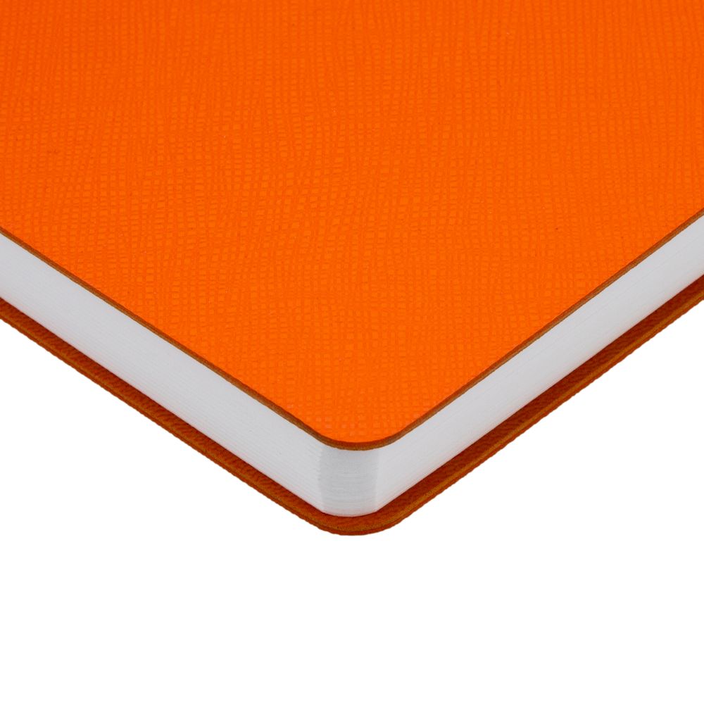 Ежедневник Flexpen Bright Ежедневник Flexpen Bright — изображение 6