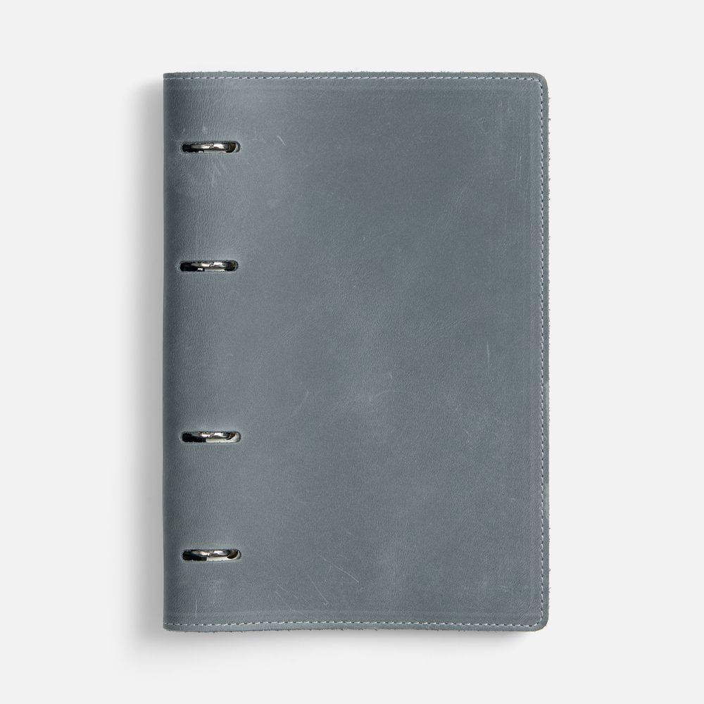 Ежедневник inStream