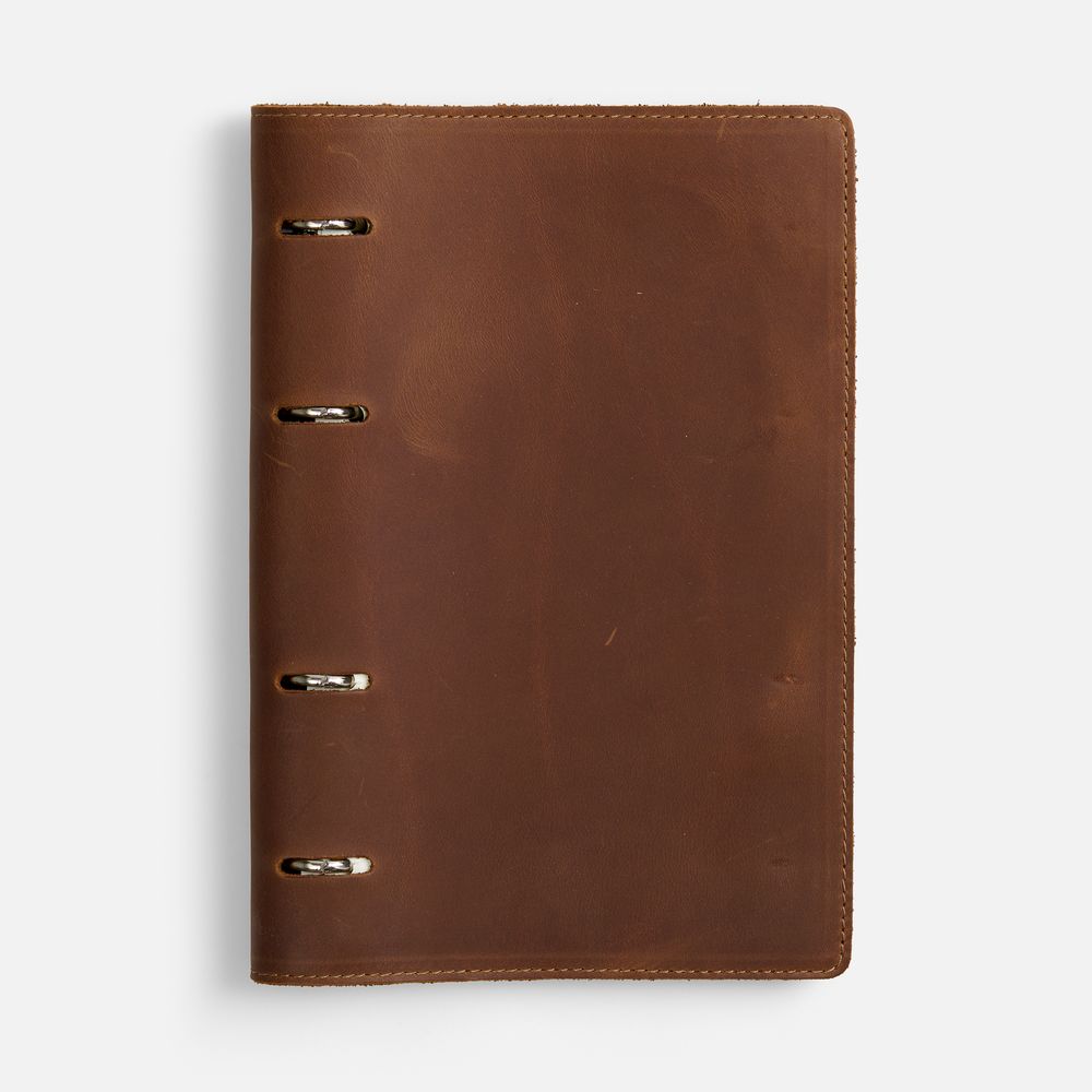 Ежедневник inStream