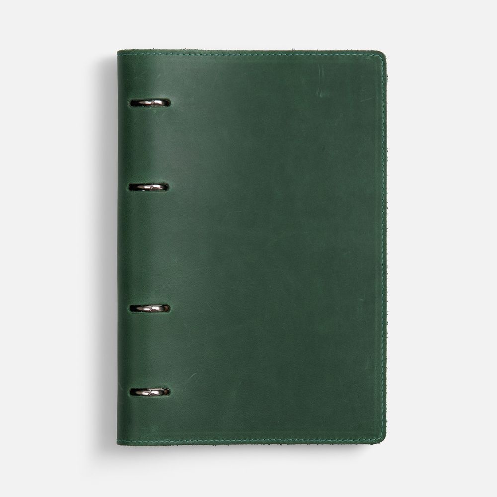 Ежедневник inStream