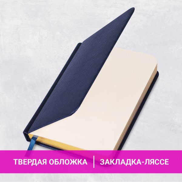 Ежедневник недатированный МАЛЫЙ ФОРМАТ 100x150 мм, А6, BRAUBERG "Iguana", под кожу, 160 л., синий, 114467 — изображение 13