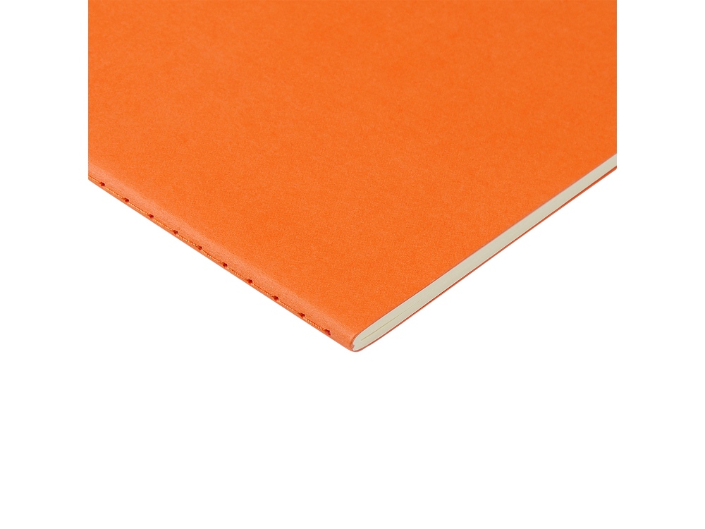 Бизнес тетрадь А5 «Pragmatic» Бизнес тетрадь А5 «Pragmatic» — изображение 3