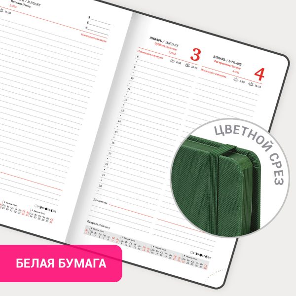 Ежедневник датированный 2026, А5, 138х213 мм, BRAUBERG "Plain", под кожу, резинка, держатель для ручки, темно-зеленый, 117507 — изображение 16