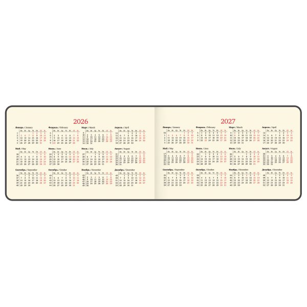 Еженедельник датированный 2026 МАЛЫЙ ФОРМАТ 105х160 мм, А6, BRAUBERG "Imprint", тиснение, фиолетовый, 117210 — изображение 5