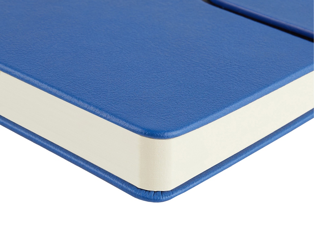 Ежедневник недатированный А5 «Status» Ежедневник недатированный А5 «Status» — изображение 6