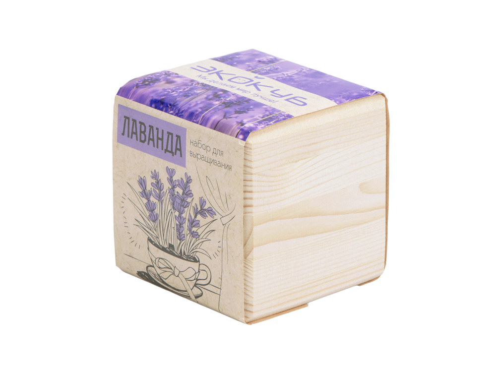 Набор для выращивания «Лаванда» Набор для выращивания «Лаванда» — изображение 2
