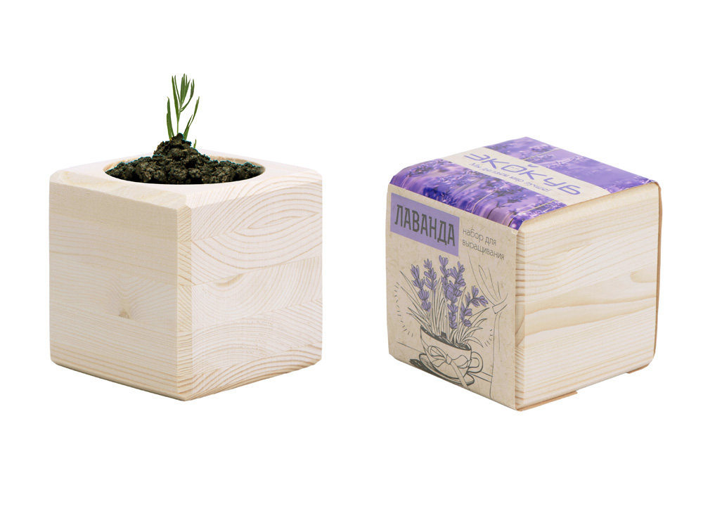 Набор для выращивания «Лаванда» Набор для выращивания «Лаванда» — изображение 5