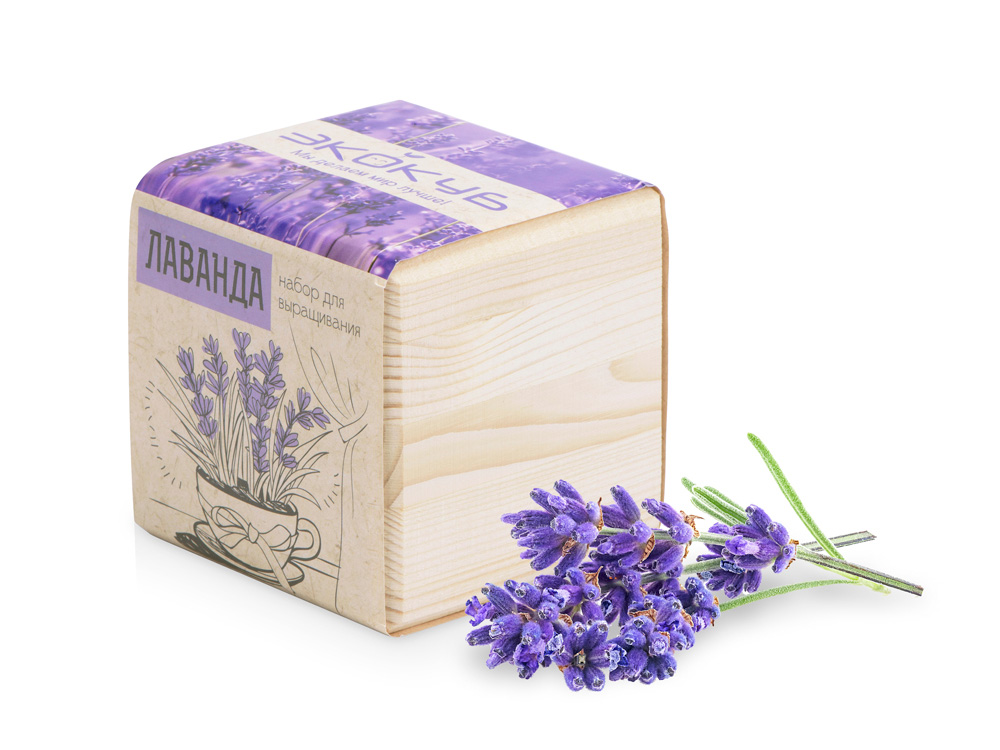 Набор для выращивания «Лаванда» - бежевый Набор для выращивания «Лаванда»