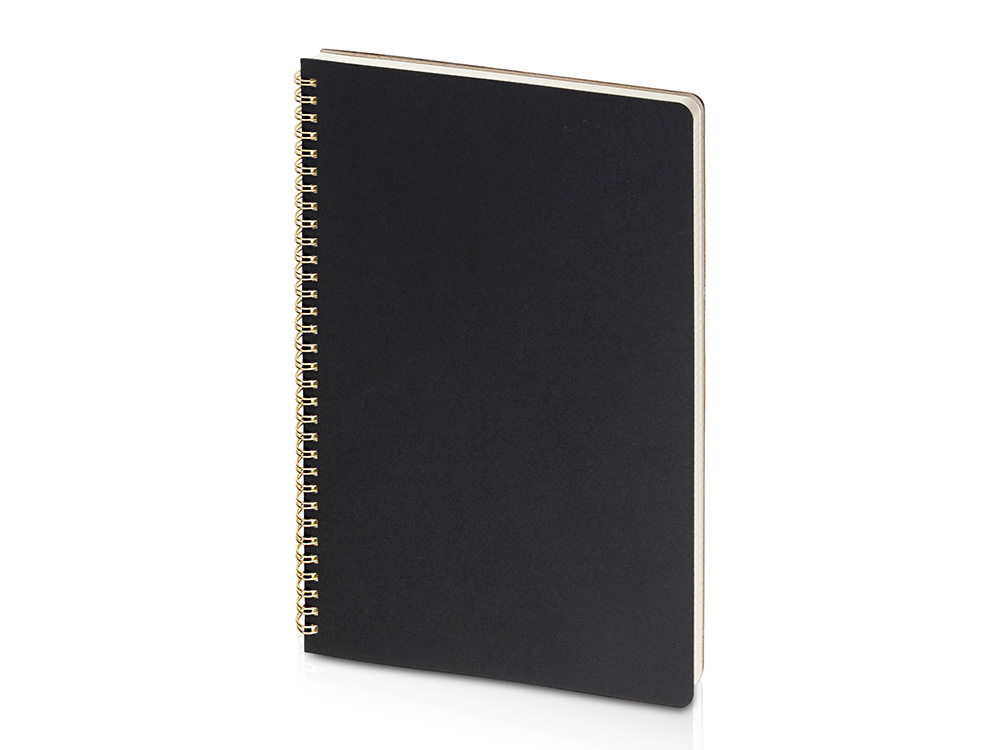 Бизнес-тетрадь А4 «Pragmatic»